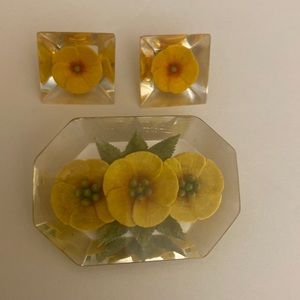 Lucite pin with screw back earrings